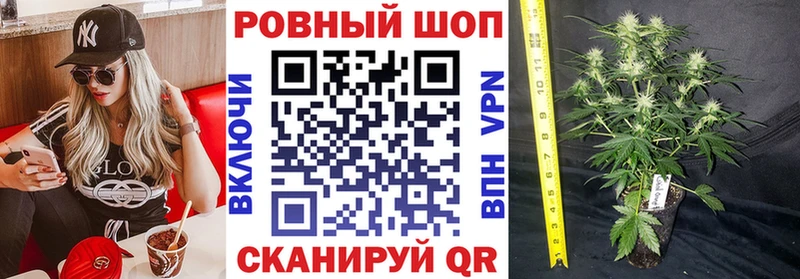  Кокаин Переславль-Залесский