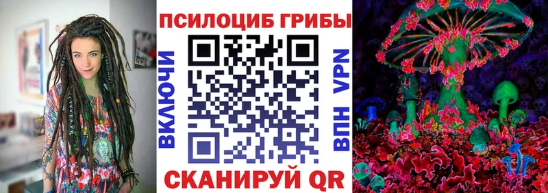 Купить где  Переславль-Залесский  Галлюциногенные грибы прущие грибы 