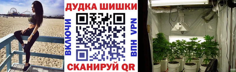 Марихуана конопля  Купить закладки  Переславль-Залесский 